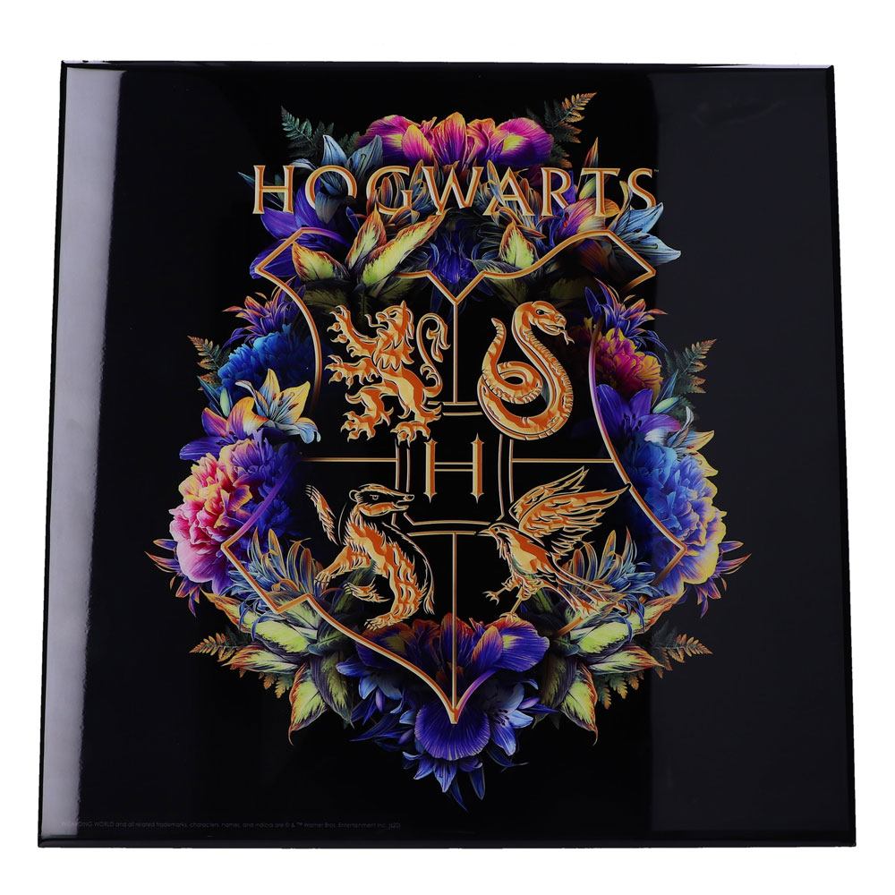Photo du produit Harry Potter décoration murale Crystal Clear Picture Hogwarts Fine Oddities 32 x 32 cm