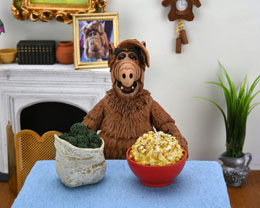 Photo du produit Alf figurine Ultimate Alf 15 cm Photo 3