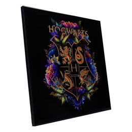 Photo du produit Harry Potter décoration murale Crystal Clear Picture Hogwarts Fine Oddities 32 x 32 cm Photo 2